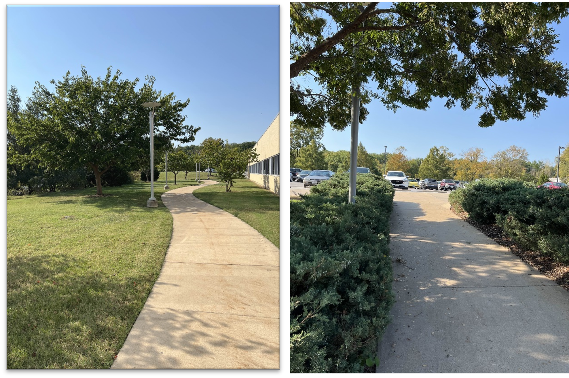 Pathway behind Life Science bldg